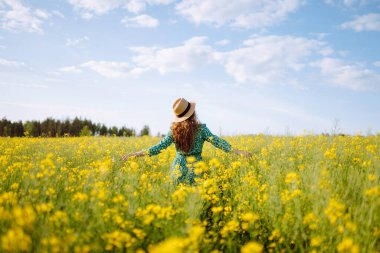 Şapkalı ve parlak elbiseli güzel bir turist çiçek açan bir ırz düşmanı tarlasında yürüyor. Genç bir kadın kırsal alanda güneşli havanın tadını çıkarır. Rahatlama kavramı, özgürlük..