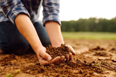 Tarım tarlasında verimli toprak taşıyan kareli gömlekli genç bir tarım uzmanının ellerine yakın çekim. Toprağın kalitesini kontrol eden bir çiftçinin elindeki kara toprak.. 