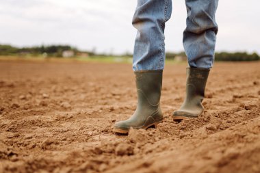 Bulutlu bir günde tarımsal alanda lastik çizmeli bir çiftçi. Çiftlikte çalışan çizmeli bir kadının yakın çekimi. Tarım kavramı, verimli toprak.
