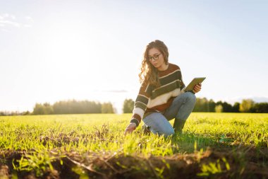 Dijital tabletli genç kadın çiftçi, tarım alanındaki genç bitkileri inceliyor. Kadın tarım uzmanı elinde bir tablet tutuyor ve filizlerin kalitesini kontrol ediyor. Bahçe konsepti.