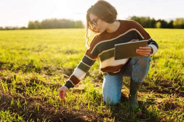 Dijital tabletli genç kadın çiftçi, tarım alanındaki genç bitkileri inceliyor. Kadın tarım uzmanı elinde bir tablet tutuyor ve filizlerin kalitesini kontrol ediyor. Bahçe konsepti.