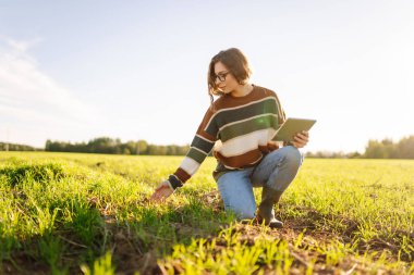 Dijital tabletli genç kadın çiftçi, tarım alanındaki genç bitkileri inceliyor. Kadın tarım uzmanı elinde bir tablet tutuyor ve filizlerin kalitesini kontrol ediyor. Bahçe konsepti.