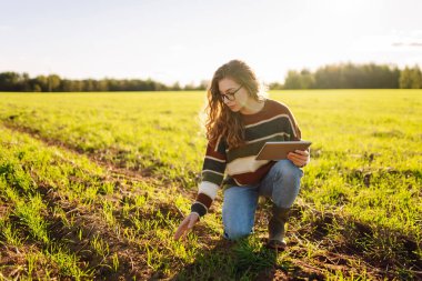 Dijital tabletli genç kadın çiftçi, tarım alanındaki genç bitkileri inceliyor. Kadın tarım uzmanı elinde bir tablet tutuyor ve filizlerin kalitesini kontrol ediyor. Bahçe konsepti.