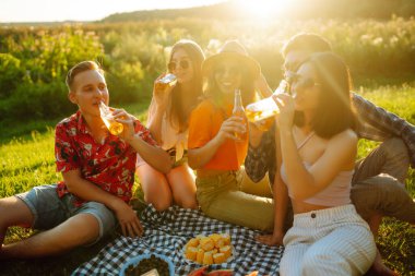 Mutlu arkadaşlar piknikte yeşil bir çayırda eğleniyorlar. Gün batımında piknik yapan bir grup genç erkek ve kadın. Arkadaşlık kavramı, kutlama, rahatlama. Yaşam biçimi.