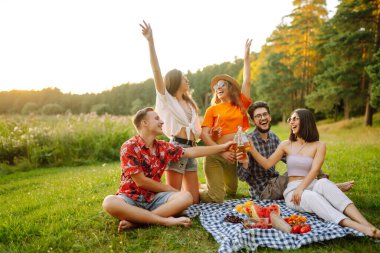 Mutlu arkadaşlar piknikte yeşil bir çayırda eğleniyorlar. Gün batımında piknik yapan bir grup genç erkek ve kadın. Arkadaşlık kavramı, kutlama, rahatlama. Yaşam biçimi.