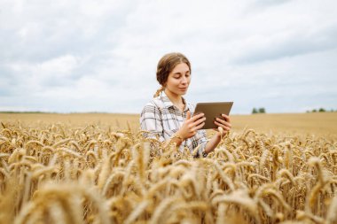 Olgun bir tarımsal alanda dijital tabletle çalışan bir kadın tarım uzmanının portresi. Genç dişi çiftçi altın buğday hasadını kontrol ediyor ve analiz ediyor. Çiftçilik kavramı.