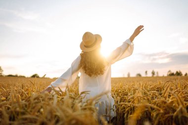 Beyaz elbiseli ve şapkalı genç bir kadının altın buğday tarlasında günbatımının keyfini çıkarırken görüntüsü. Güzel bir kadın kendini özgür hisseder ve tarımdan geçer. Çiftçilik ve bahçecilik kavramı.