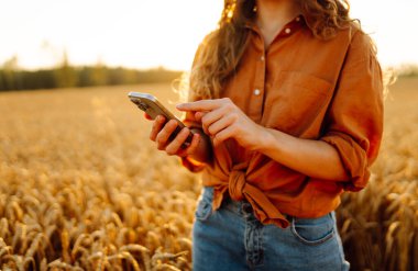 Altın buğday tarlasında telefonuyla duran güzel bir kadın çiftçi. Telefonları olan ve tarımsal alanda çalışan modern giysili bir kadın tarım uzmanı. Çiftçilik kavramı, teknoloji.