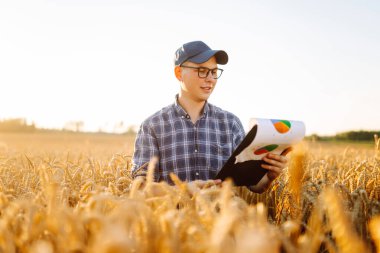 Genç bir erkek çiftçi gün batımında altın buğday tarlasında dijital tabletle çalışıyor. Bir erkek tarımcı tarımın kalitesini kontrol ediyor. Tarımsal bir tarlada. Zengin hasat kavramı.