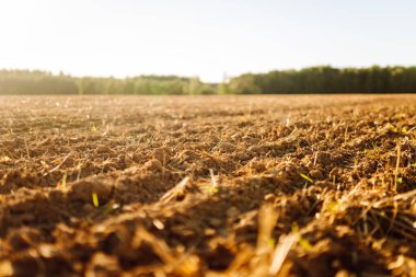 Gün batımında yeni sürülmüş topraklara yakın çekim. Açık havada karanlık tarla. Çiftçilik kavramı.