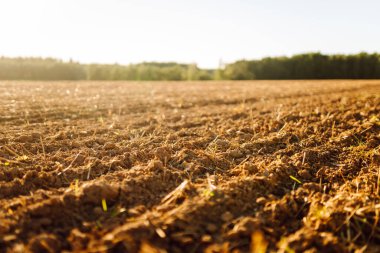 Gün batımında yeni sürülmüş topraklara yakın çekim. Açık havada karanlık tarla. Çiftçilik kavramı.