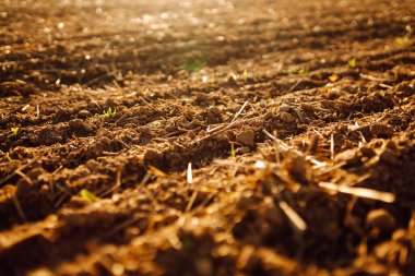 Gün batımında yeni sürülmüş topraklara yakın çekim. Açık havada karanlık tarla. Çiftçilik kavramı.