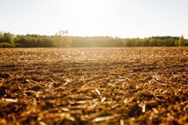Gün batımında yeni sürülmüş topraklara yakın çekim. Açık havada karanlık tarla. Çiftçilik kavramı.