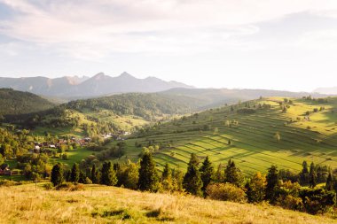 Yeşil tepelerin ilham verici manzarası. Topraklı tarlalar yemyeşil tepeler boyunca uzanıyor. Doğa, özgürlük ve görüş kavramı.