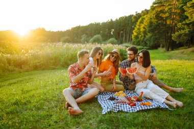 Neşeli bir arkadaş grubu yeşil bir çayırda bir paspasın üzerinde oturup rahatlar ve birlikte yemek yerler. Genç erkekler ve kadınlar birlikte vakit geçirir, dışarıda tatilin tadını çıkarırlar. Kutlama ve rahatlama kavramı.