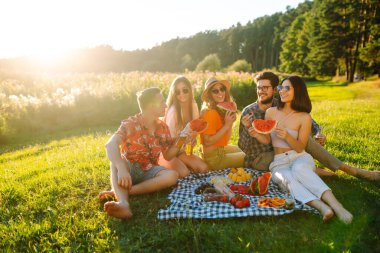 Neşeli bir arkadaş grubu yeşil bir çayırda bir paspasın üzerinde oturup rahatlar ve birlikte yemek yerler. Genç erkekler ve kadınlar birlikte vakit geçirir, dışarıda tatilin tadını çıkarırlar. Kutlama ve rahatlama kavramı.