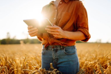 Tarım alanında çalışan bir kadın çiftçinin elindeki dijital tabletin yakın çekimi. Tabletli genç tarımcı kalitesini ölçüyor, gün batımında hesaplamalar yapıyor. Zengin hasat.