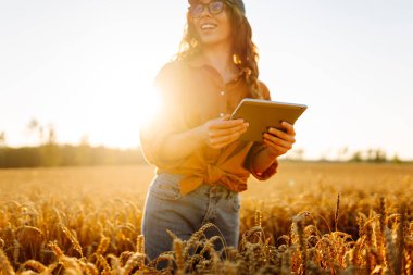 Tarım alanında çalışan bir kadın çiftçinin elindeki dijital tabletin yakın çekimi. Tabletli genç tarımcı kalitesini ölçüyor, gün batımında hesaplamalar yapıyor. Zengin hasat.