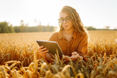 Altın buğday tarlasında çalışan, dijital tabletli gülen kadın tarımcı. Genç kadın çiftçi tarlada mahsul kalitesini kontrol ediyor. Tarım ve teknoloji kavramı.