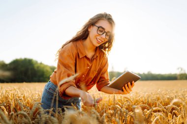 Altın buğday tarlasında çalışan, dijital tabletli gülen kadın tarımcı. Genç kadın çiftçi tarlada mahsul kalitesini kontrol ediyor. Tarım ve teknoloji kavramı.