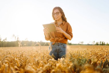Altın buğday tarlasında çalışan, dijital tabletli gülen kadın tarımcı. Genç kadın çiftçi tarlada mahsul kalitesini kontrol ediyor. Tarım ve teknoloji kavramı.