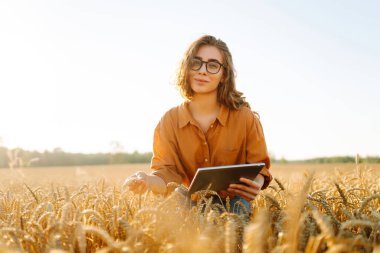 Altın buğday tarlasında çalışan, dijital tabletli gülen kadın tarımcı. Genç kadın çiftçi tarlada mahsul kalitesini kontrol ediyor. Tarım ve teknoloji kavramı.
