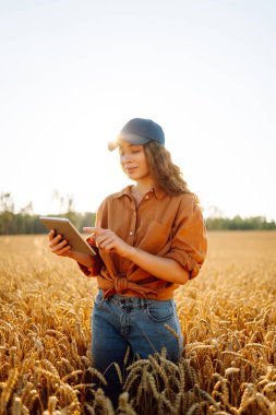 Altın buğday tarlasında çalışan, dijital tabletli gülen kadın tarımcı. Genç kadın çiftçi tarlada mahsul kalitesini kontrol ediyor. Tarım ve teknoloji kavramı.