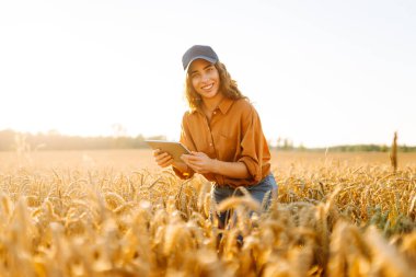 Altın buğday tarlasında çalışan, dijital tabletli gülen kadın tarımcı. Genç kadın çiftçi tarlada mahsul kalitesini kontrol ediyor. Tarım ve teknoloji kavramı.