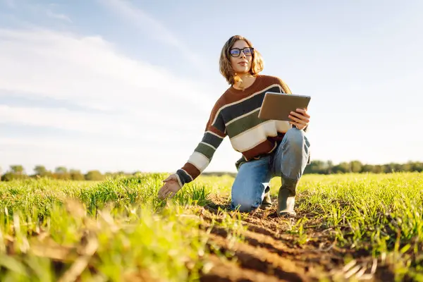 Yeşil tarım alanında dijital tabletle çalışan bir kadın çiftçi. Elinde teknolojisi olan genç bir tarımcı kadın mahsulün kalitesini ve büyümesini kontrol ediyor. Tarım kavramı.