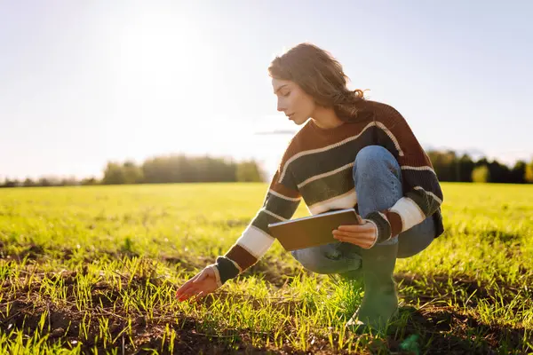 Yeşil tarım alanında dijital tabletle çalışan bir kadın çiftçi. Elinde teknolojisi olan genç bir tarımcı kadın mahsulün kalitesini ve büyümesini kontrol ediyor. Tarım kavramı.
