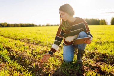 Yeşil tarım alanında dijital tabletle çalışan bir kadın çiftçi. Elinde teknolojisi olan genç bir tarımcı kadın mahsulün kalitesini ve büyümesini kontrol ediyor. Tarım kavramı.