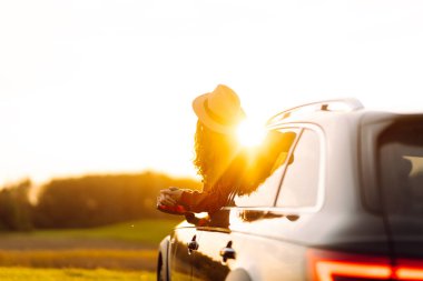 Seyahat tutkusu. Pencereden sarkan şapkalı mutlu bir gezgin. Gün batımında özgürlük hisseden genç bir kadın. Macera konsepti.