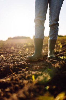 Tarlada çiftçilik yapan genç bir çiftçinin ayakları. Genç kadın tarımcı ekmeden önce toprağın kalitesini kontrol ediyor. Çiftçilik, bahçıvanlık..