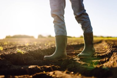 Tarlada çiftçilik yapan genç bir çiftçinin ayakları. Genç kadın tarımcı ekmeden önce toprağın kalitesini kontrol ediyor. Çiftçilik, bahçıvanlık..