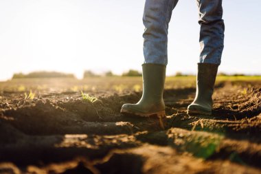 Tarlada çiftçilik yapan genç bir çiftçinin ayakları. Genç kadın tarımcı ekmeden önce toprağın kalitesini kontrol ediyor. Çiftçilik, bahçıvanlık..