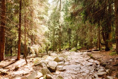 Doğal dağ manzarası. Yeşil bir manzaranın üzerinde yüksek uçurumlar yükselir. Doğa konsepti, vahşi doğa. Dağlarda doğa izleri.