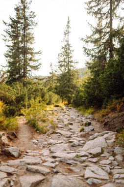 Doğal dağ manzarası. Yeşil bir manzaranın üzerinde yüksek uçurumlar yükselir. Doğa konsepti, vahşi doğa. Dağlarda doğa izleri.