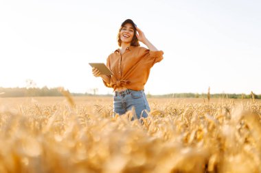 Dijital tabletli genç kadın çiftçi gün batımında altın buğday tarlasında çalışıyor. Teknolojisi olan tarımsal alanda ekin kalitesini kontrol eden tarımcı bir kadın. Zengin hasat.