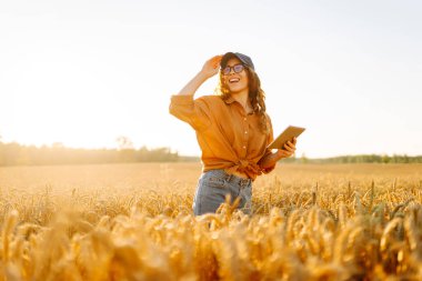 Dijital tabletli genç kadın çiftçi gün batımında altın buğday tarlasında çalışıyor. Teknolojisi olan tarımsal alanda ekin kalitesini kontrol eden tarımcı bir kadın. Zengin hasat.