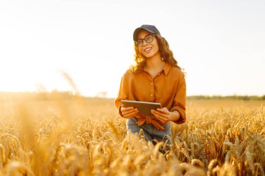 Dijital tabletli genç kadın çiftçi gün batımında altın buğday tarlasında çalışıyor. Teknolojisi olan tarımsal alanda ekin kalitesini kontrol eden tarımcı bir kadın. Zengin hasat.