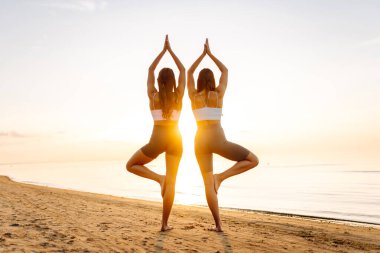 İki atletik kadın deniz kıyısında birlikte yoga yapıyorlar. Güzel arkadaşlar gün batımında spor meditasyonu yapıyorlar. Spor, zevk ve meditasyon kavramı.