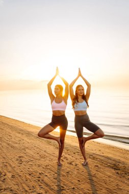 İki atletik kadın deniz kıyısında birlikte yoga yapıyorlar. Güzel arkadaşlar gün batımında spor meditasyonu yapıyorlar. Spor, zevk ve meditasyon kavramı.