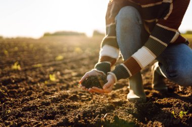 Genç bir dişi tarım uzmanı günbatımı tarlasında verimli topraklar tutuyor. Bir dişi çiftçi ekmeden önce toprağın kalitesini kontrol eder. Tarım, bahçıvanlık ve tarım kavramı.