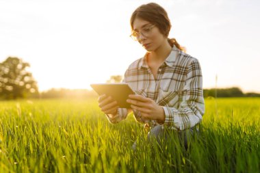 Dijital tabletli bir kadın çiftçinin portresi tarım alanındaki mahsulleri kontrol ediyor. Dışarıda çalışan genç bir tarımcı kadın. Teknoloji ve tarım kavramı.