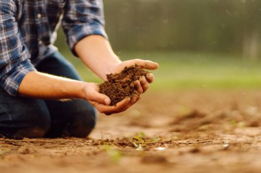 Bir tarım tarlasının zeminine karşı elinde verimli toprak tutan genç bir çiftçinin elleri. Toprağın kalitesini kontrol eden bir tarım uzmanının yakın çekimi. Bahçe ve tarım kavramı.