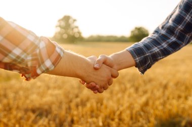 İki genç çiftçi altın buğday tarlasında el sıkışıyor ve arka planda günbatımı var. Ortaklığı simgeleyen erkeklerin el sıkışması. Anlaşma kavramı ve zengin bir hasat..