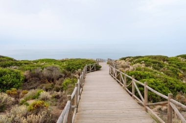 Canlı yeşillikler arasından sakin bir denize giden ahşap bir yol. Deniz ve dağ manzaralı uzun bir köprü. Doğa, sükunet ve barış kavramı.