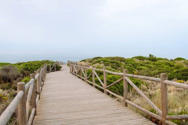 Canlı yeşillikler arasından sakin bir denize giden ahşap bir yol. Deniz ve dağ manzaralı uzun bir köprü. Doğa, sükunet ve barış kavramı.