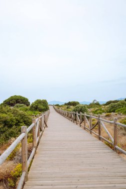 Canlı yeşillikler arasından sakin bir denize giden ahşap bir yol. Deniz ve dağ manzaralı uzun bir köprü. Doğa, sükunet ve barış kavramı.
