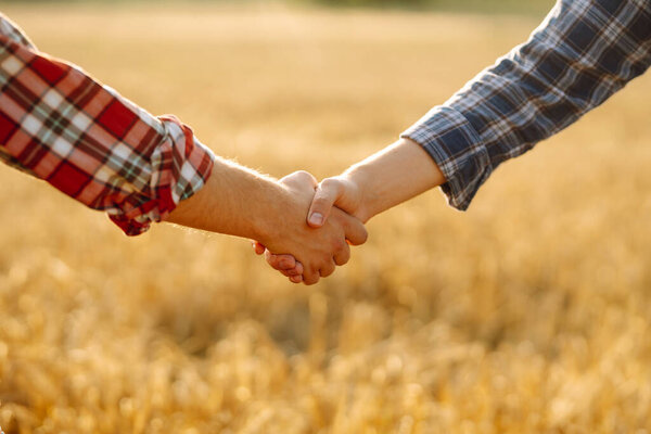 Two young farmers shaking hands in a golden wheat field with a sunset in the background. Close-up of men shaking hands symbolizing partnership. Concept of a deal and a rich harvest.